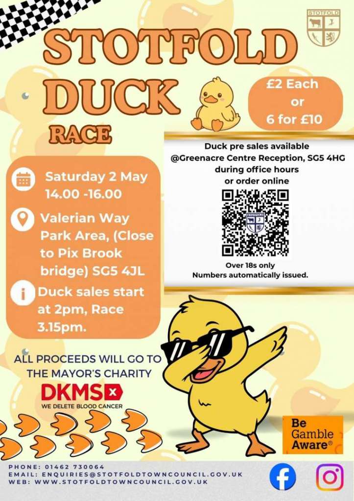 Poster showing how to book a Duck for the Duck race 